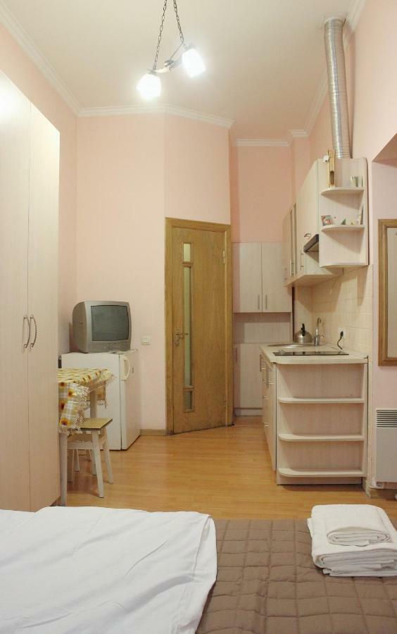 Квартира по вул.Гавришкевича - Apartment on the street of Gavrishkevich Львов Экстерьер фото